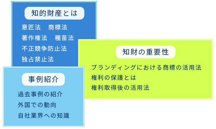 研究者への支援活動